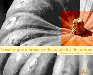 Imagen “Novelas que aluman a minguante luz de outono”