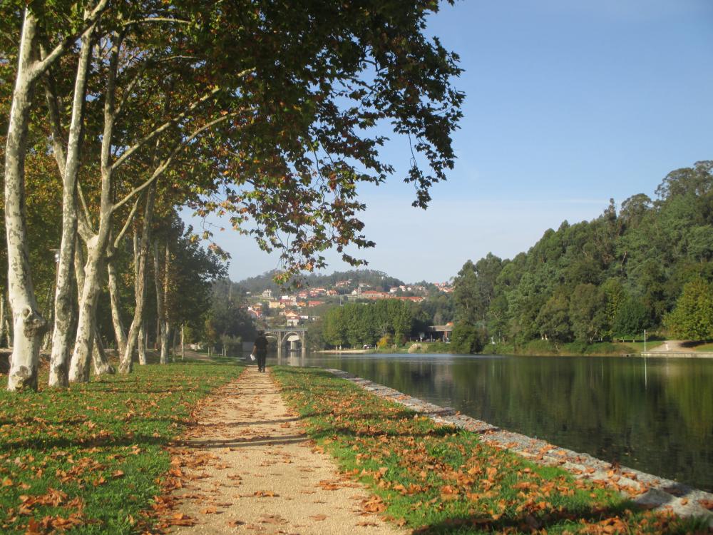 Imagen ANDARES POR GALICIA: A CULTURA DA NATUREZA