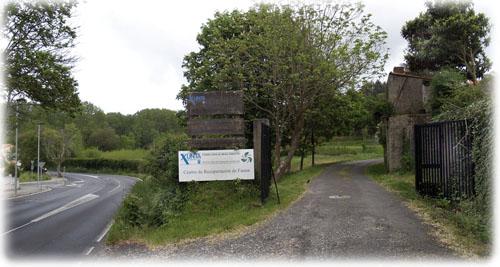 Imagen Centro de Recuperación de Fauna