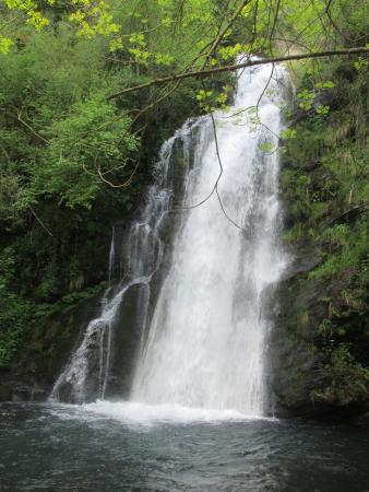 Imaxe ANDARES POR GALICIA: RUTA POLO COUREL