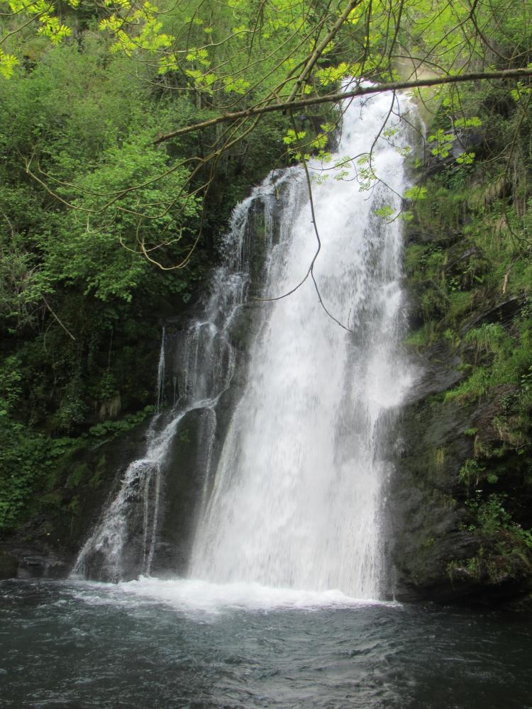 Imagen ANDARES POR GALICIA: RUTA POLO COUREL