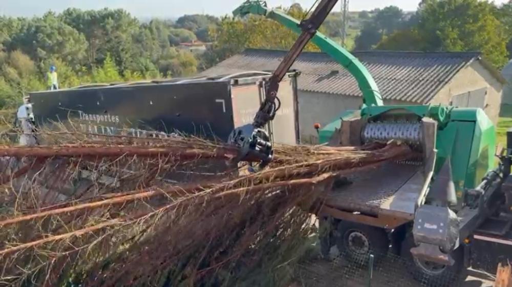 Imagen O Concello tritura todos os restos de podas para reutilizar en zonas verdes e xardíns