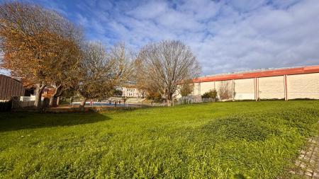 Imagen O Valle Inclán terá un bosque biopedagóxico e unha aula sen muros nunha...