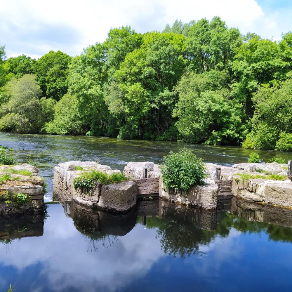 Imagen ANDARES POR GALICIA. A CULTURA DA NATUREZA