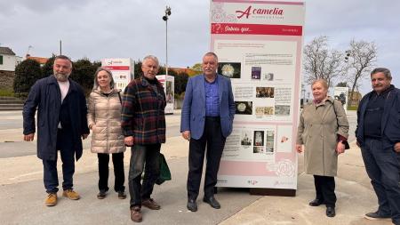 Imaxe Inaugúrase unha exposición sobre a camelia en Esther Pita