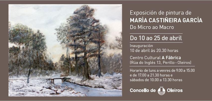 Imagen Mostra de Pintura de María Castiñeira García