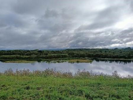 Imagen ANDARES POR GALICIA -  RUTA FAMILIAR: A TERRA CHÁ