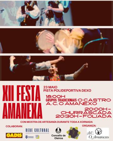 Imaxe XII Festa Amanexa