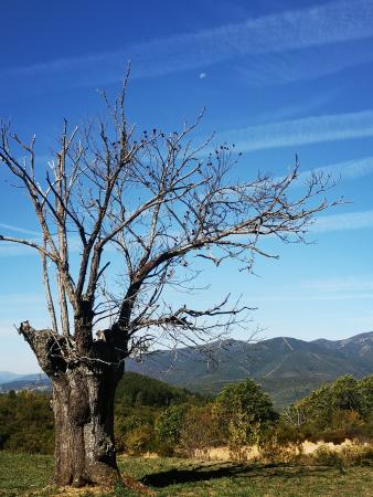 Imagen ANDARES POR GALICIA - RUTA POLO PARQUE NATURAL DA SERRA DA ENCIÑA DA LASTRA