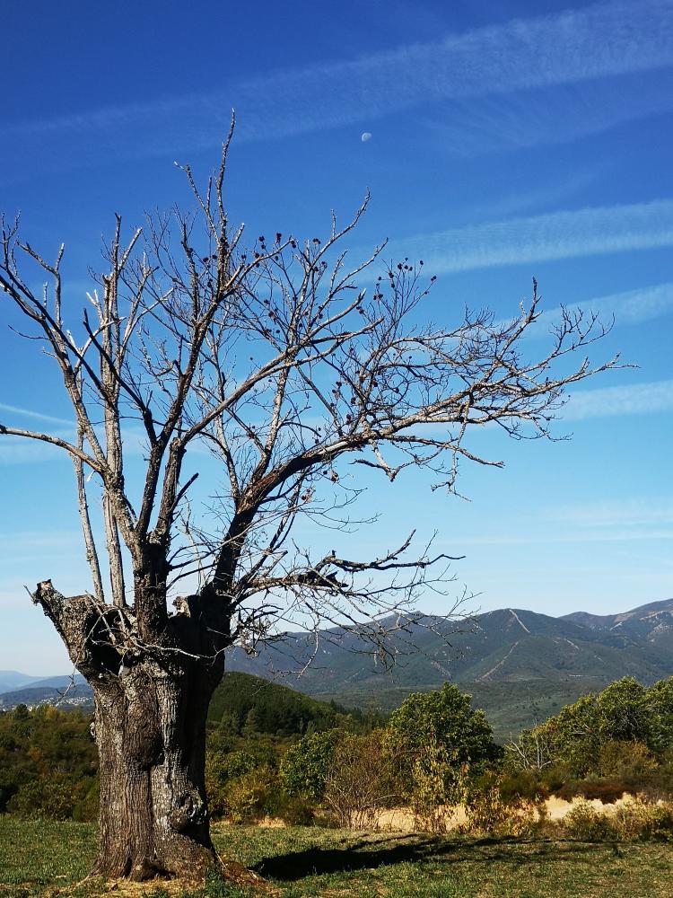 Imagen ANDARES POR GALICIA - RUTA POLO PARQUE NATURAL DA SERRA DA ENCIÑA DA LASTRA