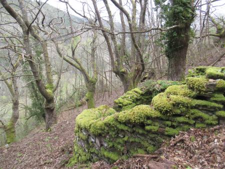 Imagen ANDARES POR GALICIA: A CULTURA DA NATUREZA
