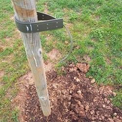 Imagen Rouban 3 árbores do parque As Trece Rosas