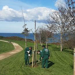 Imagen O Concello de Oleiros solicita un novo obradoiro de emprego