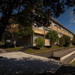 Imagen O Concello financia o gasto do comedor escolar dos nenos e nenas en situación de vulnerabilidade