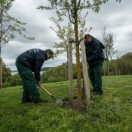Imagen Un novo obradoiro de emprego permite a contratación de 20 veciños e veciñas en paro