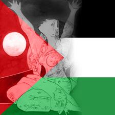 Imagen O Concello de Oleiros inicia unha campaña de recollida de medicamentos para Gaza