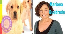 Imagen Recomendacións en Radioleiros: 12 de setembro