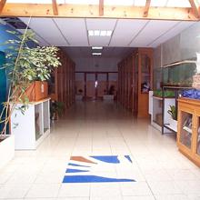 Imagen Oleiros impartirá un curso de preparación para a obtención do título de graduado en educación secundaria