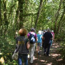 Imagen La Fábrica acoge este miércoles a presentación de una nueva edición del programa municipal de senderismo y excursionismo para mayores 