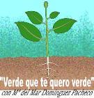 Imagen Ler para saber A CIENCIA: 29 de abril de 2011