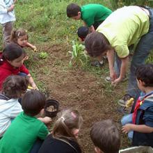Imagen El plazo para inscribirse en el Programa de actividades de verano 2015 concluye el próximo viernes día 8
