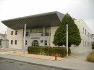 Imagen DANZA EN MERA