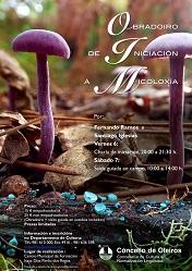 Imagen OBRADOIRO DE INICIACIÓN Á MICOLOXÍA