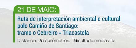 Imagen RUTA DE INTERPRETACIÓN AMBIENTAL E CULTURAL POLO CAMIÑO DE SANTIAGO: TRAMO O CEBREIRO - TRIACASTELA