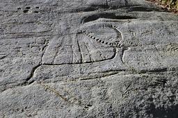 Imagen Visita ao Parque Arqueolóxico da Arte Rupestre de Campo Lameiro e ao museo e á cidade de Pontevedra