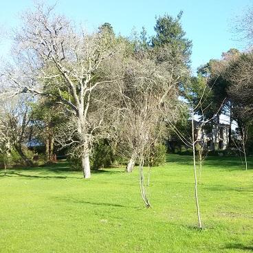 Imagen Un novo Obradoiro de Emprego continuará co acondicionamento da Finca Tenreiro