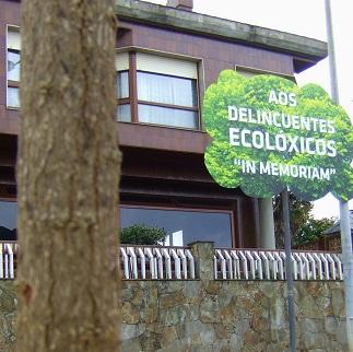 Imagen Un veciño ataca unha árbore centenaria do Carballo