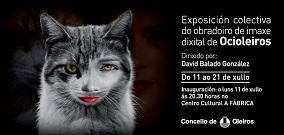 Imagen Exposición colectiva do obradoiro de fotografía dixital de Ocioleiros na Fábrica