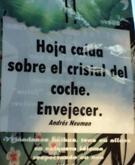 Imagen Proxecto 5-7-5: Eis os haikus!