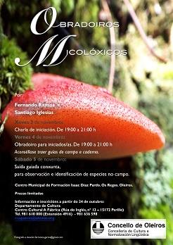 Imagen OBRADOIROS MICOLÓXICOS