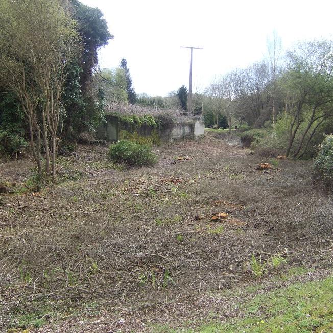 Imagen O Concello de Oleiros levará aos tribunais a Gas Natural Fenosa por cortar 28 árbores sen autorización nun parque municipal