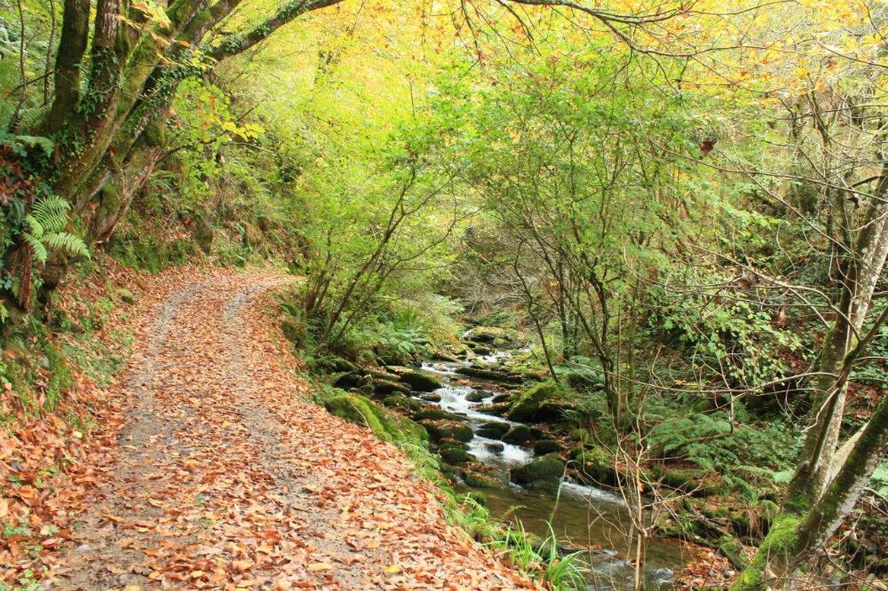 Imagen O Concello organiza unha excursión ás fragas da Pontenova o 27 de maio