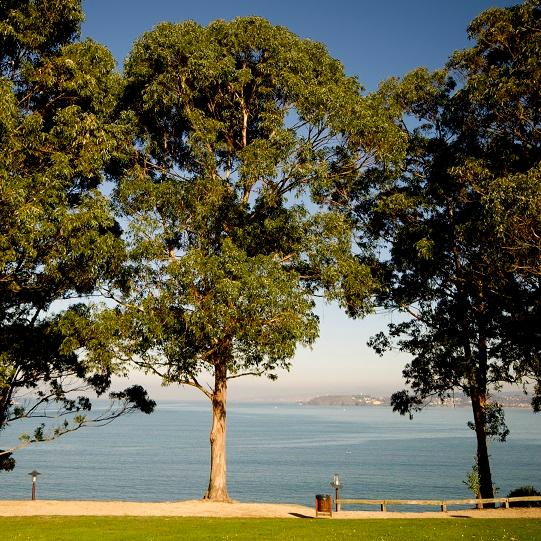 Imagen A costa libre de Oleiros é declarada sendeiro azul europeo