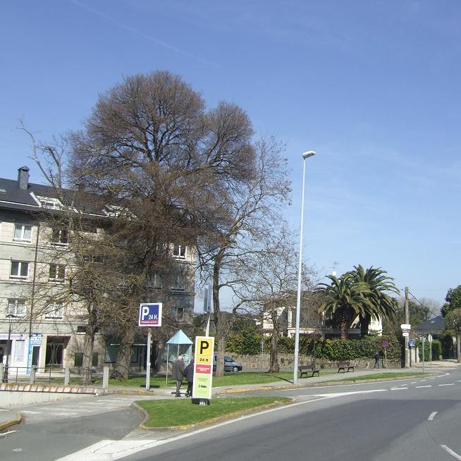 Imagen Volven atacar o tileiro de Santa Cristina