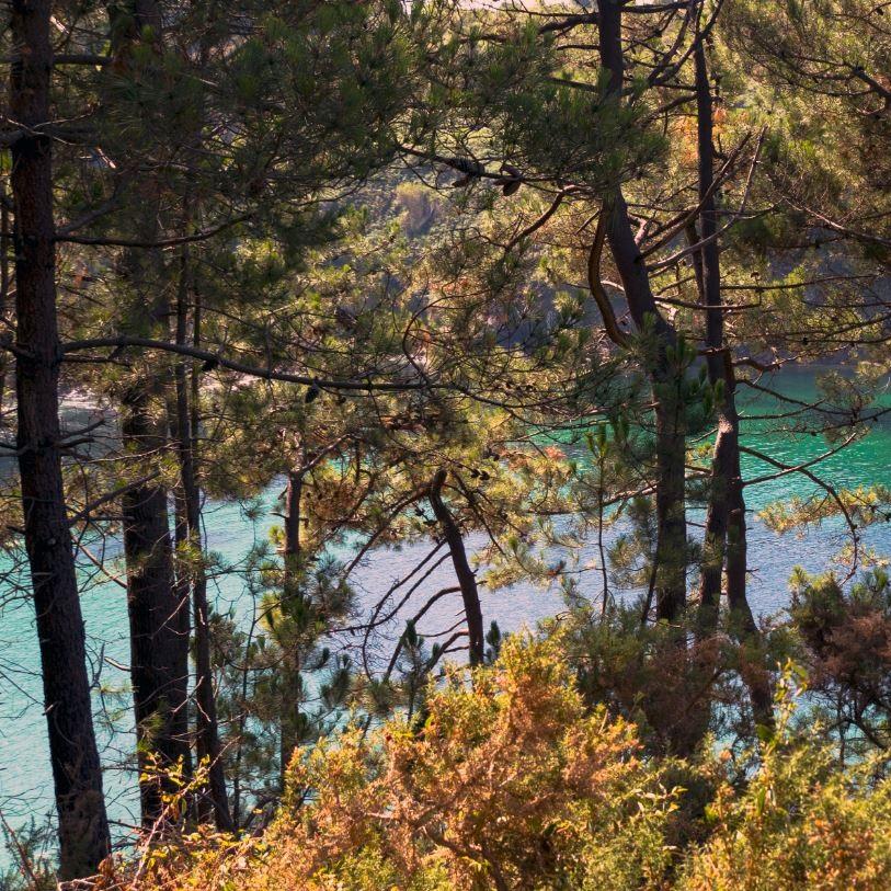 Imagen Unha ordenanza velará pola conservación paisaxística do Monumento Natural