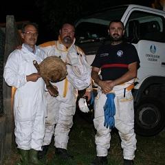 Imagen O Concello leva retirados 588 niños de velutinas neste 2017