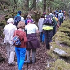 Imagen Abre o prazo para inscribirse nas rutas de sendeirismo do Ven e descubre