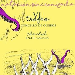 Imagen O sábado celébrase o VI Trofeo Concello de Oleiros de natación sincronizada