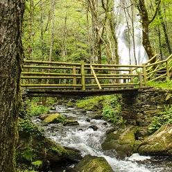 Imagen O Concello organiza unha excursión aos montes da Fonsagrada