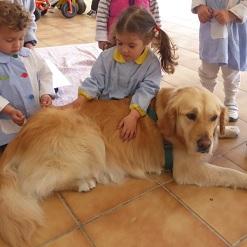 Imagen A cadela Nuba visita de novo as escolas infantís de Oleiros