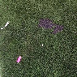 Imagen O campo de fútbol municipal de Montrove sufre diversos danos provocados por actos de vandalismo