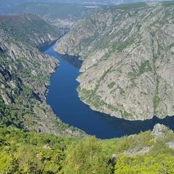 Imagen O Concello organiza unha ruta de sendeirismo pola Ribeira Sacra