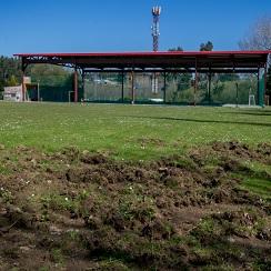 Imagen O Concello volve demandar á Xunta que actúe ante a constante presenza de xabaríns en zonas urbanas