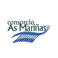 Imagen García Seoane afea aos alcaldes as críticas á auditoría contratada por Oleiros para o Consorcio