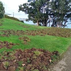 Imagen O Concello de Oleiros celebra a decisión da Deputación de instar á Xunta a resolver o problema dos xabarís