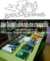 Image Jane Goodall: expo de libros para grandes e pequechos na Biblioteca de Santa Cruz